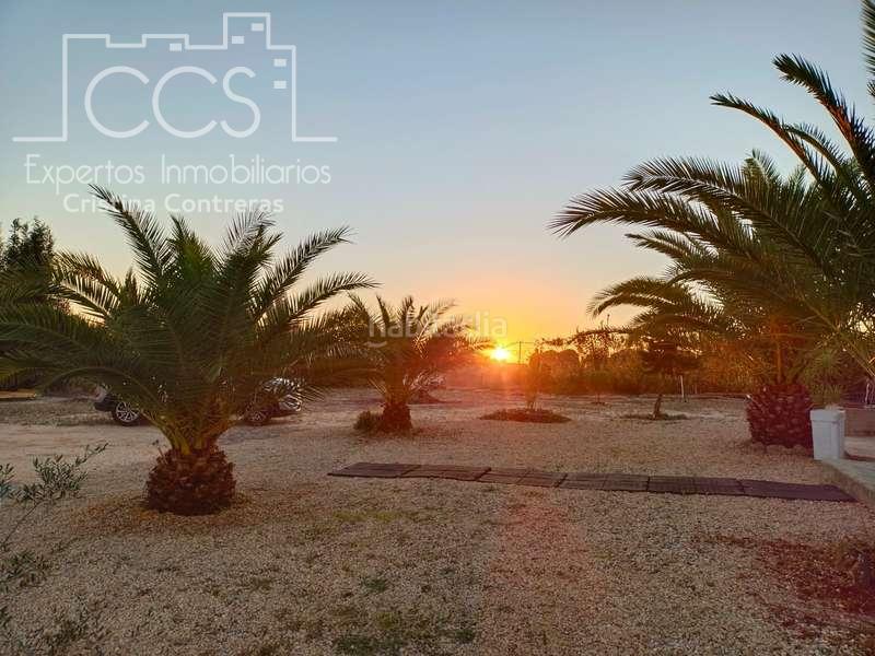 Foto 973db5e9-6ae3-4f88-bbd1-82e51e4daf43. Masía venta de finca de 12.285 m2 de terreno con casa de madera de 85m2 construidos en rociana, huelva en Rociana del Condado