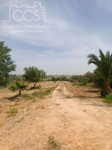 Foto b2e9e462-0e59-4a17-937d-6f53cb515853. Masía venta de finca de 12.285 m2 de terreno con casa de madera de 85m2 construidos en rociana, huelva en Rociana del Condado