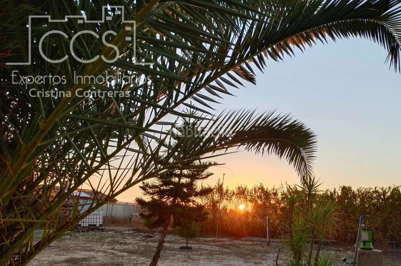 Foto c5693b39-b28f-40c6-966e-7341523250c2. Masía venta de finca de 12.285 m2 de terreno con casa de madera de 85m2 construidos en rociana, huelva en Rociana del Condado