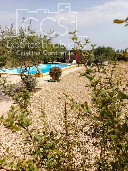 Foto d655d66e-914e-4078-9775-7f1288405ac4. Masía venta de finca de 12.285 m2 de terreno con casa de madera de 85m2 construidos en rociana, huelva en Rociana del Condado