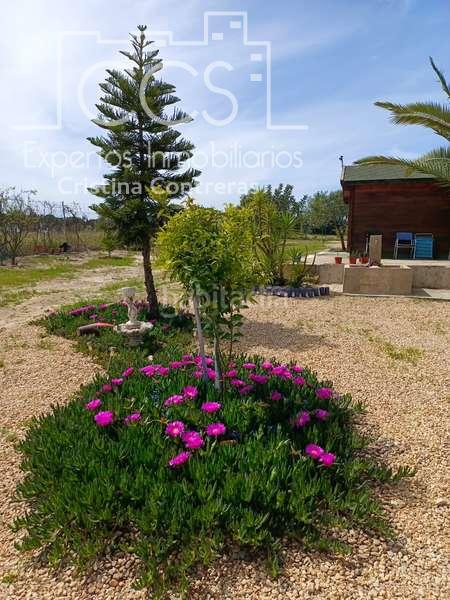 Foto f290054b-9f15-4cce-a583-0aeb68ca6b94. Masía venta de finca de 12.285 m2 de terreno con casa de madera de 85m2 construidos en rociana, huelva en Rociana del Condado