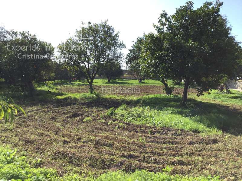 Foto 388df555-f43a-4221-9050-6627083bc20e. Finca rústica a Loreto Espartinas