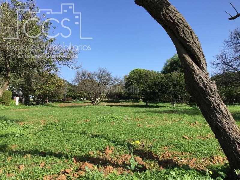 Foto 5416ac12-5168-46d9-b905-a5cf0a6832b6. Fondo rustico in Loreto Espartinas