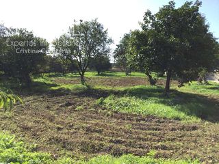 Finca rústica a Loreto