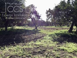 Rural plot in Loreto. Venta  de finca urbana de 2.000 m2  de terreno sin construcción