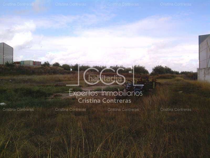 Foto 291bc784-1e56-476c-a550-efb4298411ff. Terreny residencial a Olivares