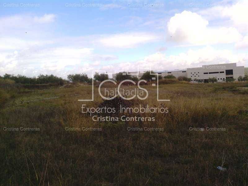 Foto f42e2c02-7c09-4823-b9b9-169d9816f2e5. Terreny residencial a Olivares