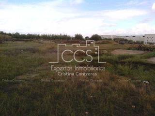 Terreny residencial a Olivares. Suelo terciario en venta  o en alquiler de 1.500m2