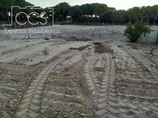 Masia a Almonte. Venta de finca en concesión de 15 ha. de terreno y con vivienda