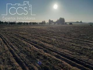 Rural plot in Almonte. Venta de finca en concesión, de 25.000m2 de terreno,  en almonte