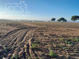 Finca rústica a Almonte. Venta de finca en concesión, de 25.000m2 de terreno,  en almonte