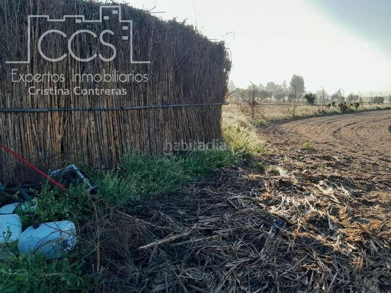 Foto 041619a0-c22f-4532-95a1-866a7783571b. Landgut in Almonte Almonte