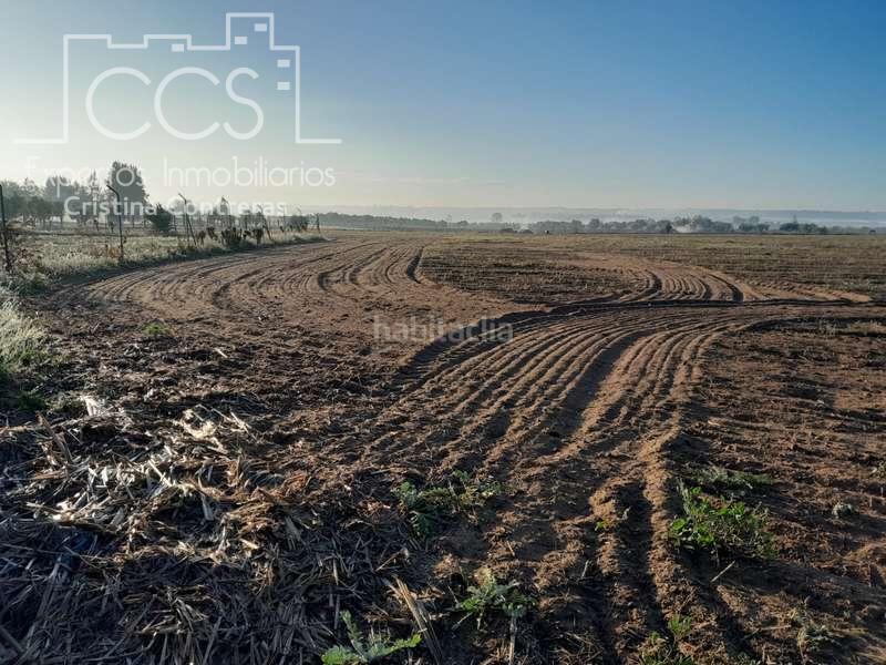 Foto 29bf1a97-4eb0-4b8a-98aa-d23547700241. Finca rústica a Almonte Almonte