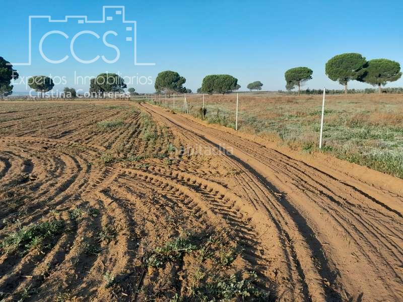 Foto 3f8e13ba-9818-4a53-bf84-b46225cd79c0. Landgut in Almonte Almonte