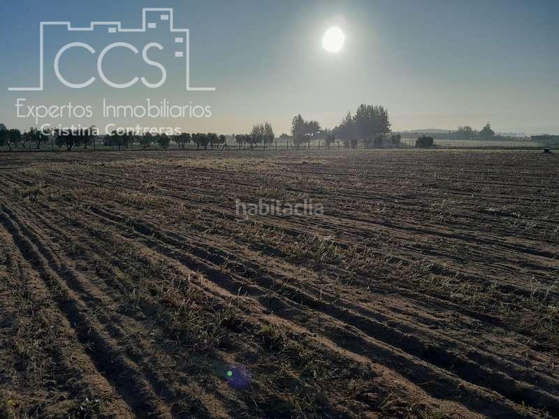 Foto 4b9e3c43-b1a3-46ed-9ccd-952167b6ec2f. Landgut in Almonte Almonte