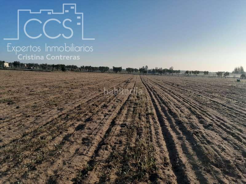 Foto 78232585-7b8b-4e2f-b23e-59884f0a3238. Finca rústica a Almonte Almonte