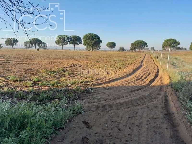 Foto 797d0e34-15cd-40ac-a951-7c62ab8e9d67. Landgut in Almonte Almonte