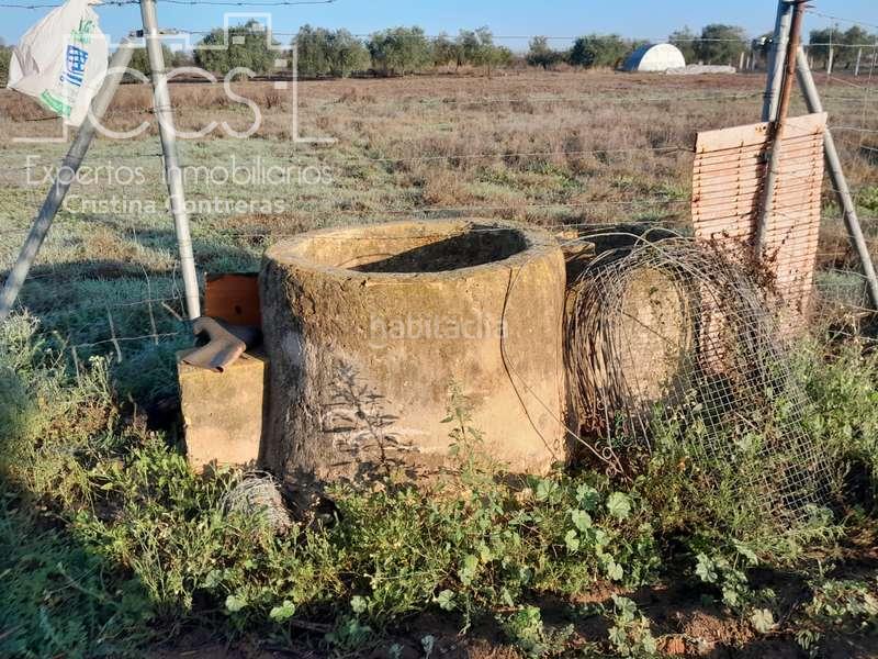 Foto bdb74262-5b4b-4bfa-a0e1-b3da12a0ae5c. Landgut in Almonte Almonte