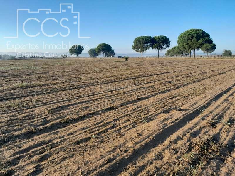 Foto d1173ea2-0e93-42b8-b923-d88f625b9ecd. Landgut in Almonte Almonte