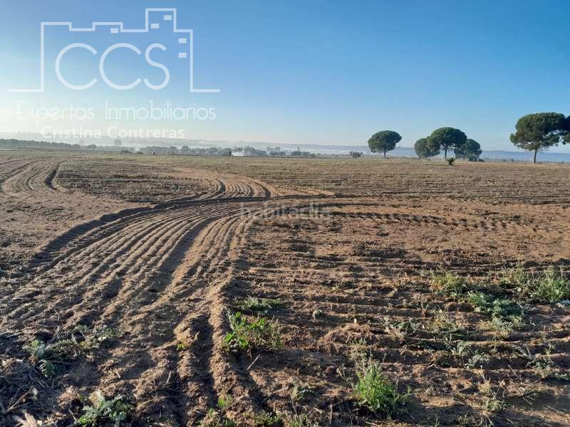 Foto d6eb11f1-720b-4279-aaed-d63854315a2b. Landgut in Almonte Almonte