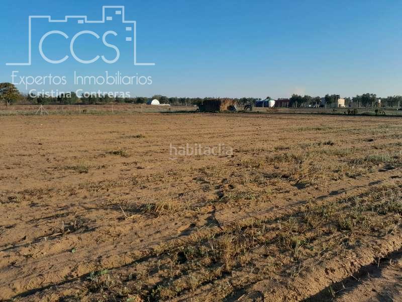 Foto dbaf3cae-3067-4723-a463-b1a06f7b42fb. Landgut in Almonte Almonte