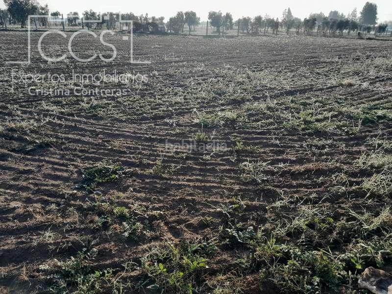 Foto f42518da-ec6f-4534-b485-7951be60eaa5. Landgut in Almonte Almonte