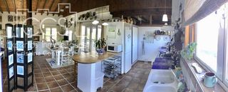 Masía en Pilas. Venta de finca de  14.256 m2  de terreno y una casa de 213 m2 co