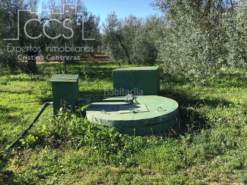 Foto c50f0685-96eb-4065-9626-12facb50b053. Masia amb piscina a Pilas