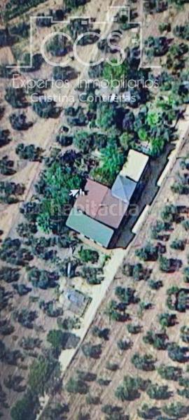 Foto 2061df41-2e49-4fcd-b384-57536f31e91f. Masía venta de finca de olivos de 14.256 m2 con construcción de 212 m2, alberca y arboledas varias . en Pilas