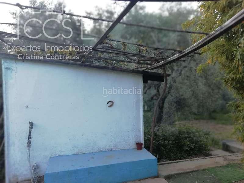 Foto 261d8ff7-8358-4df0-b8ba-ed4a5335852d. Masía venta de finca de olivos de 14.256 m2 con construcción de 212 m2, alberca y arboledas varias . en Pilas