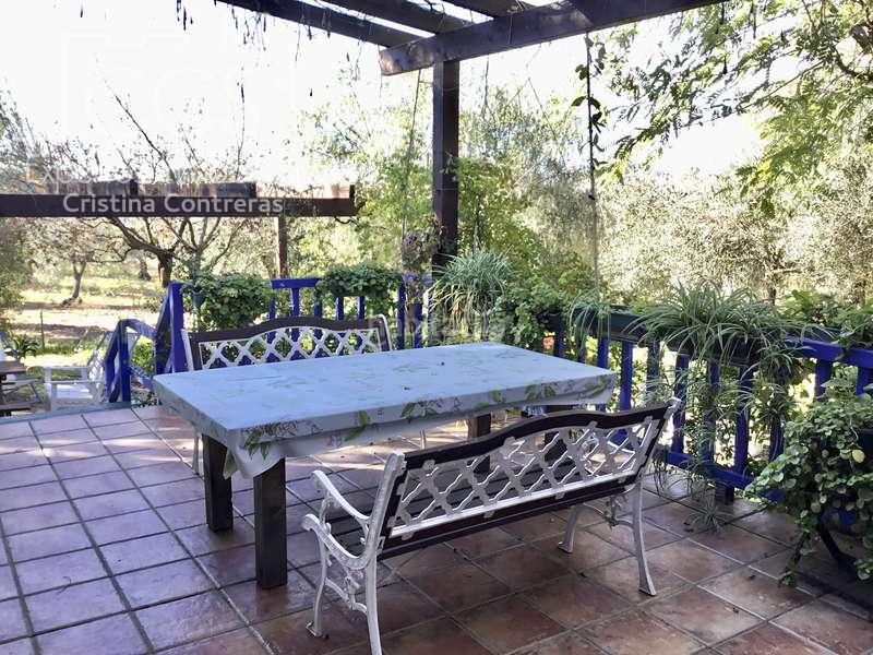 Foto 2757f26b-f8e8-4962-a381-20e40ae133dd. Masía venta de finca de olivos de 14.256 m2 con construcción de 212 m2, alberca y arboledas varias . en Pilas