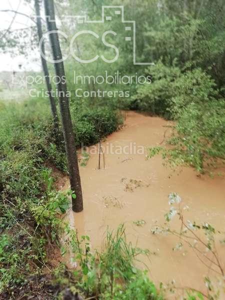 Foto 27b116c2-5f44-494c-be2c-220a3b1b9f74. Masía venta de finca de olivos de 14.256 m2 con construcción de 212 m2, alberca y arboledas varias . en Pilas