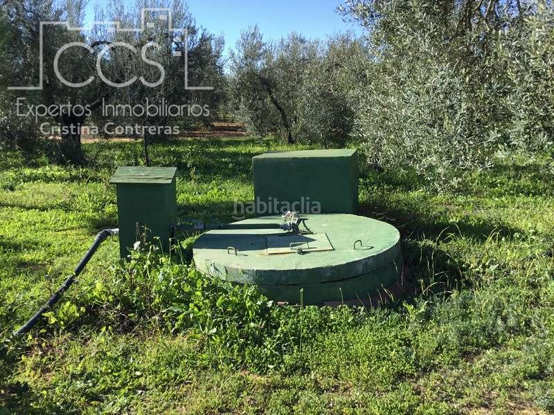 Foto 49a179b3-7aec-4bea-9be0-cc5d91d896d5. Masía venta de finca de olivos de 14.256 m2 con construcción de 212 m2, alberca y arboledas varias . en Pilas