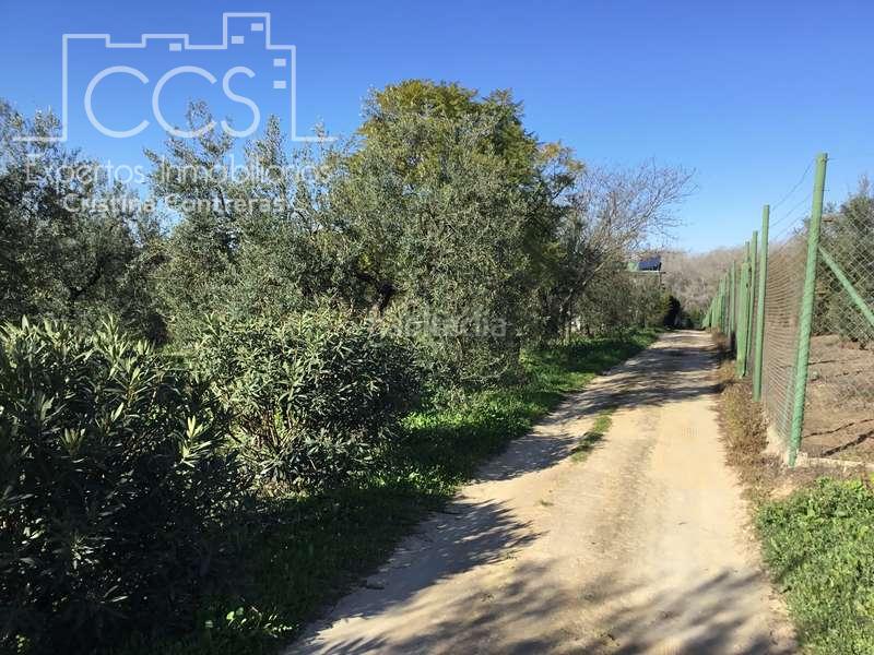 Foto 6b2b4c41-589e-44ef-9818-350c49025319. Masía venta de finca de olivos de 14.256 m2 con construcción de 212 m2, alberca y arboledas varias . en Pilas