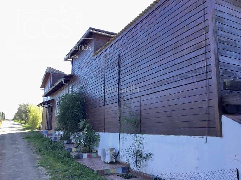Foto 99bb8e23-55ac-4cd7-9864-b9478ea702cf. Masía venta de finca de olivos de 14.256 m2 con construcción de 212 m2, alberca y arboledas varias . en Pilas