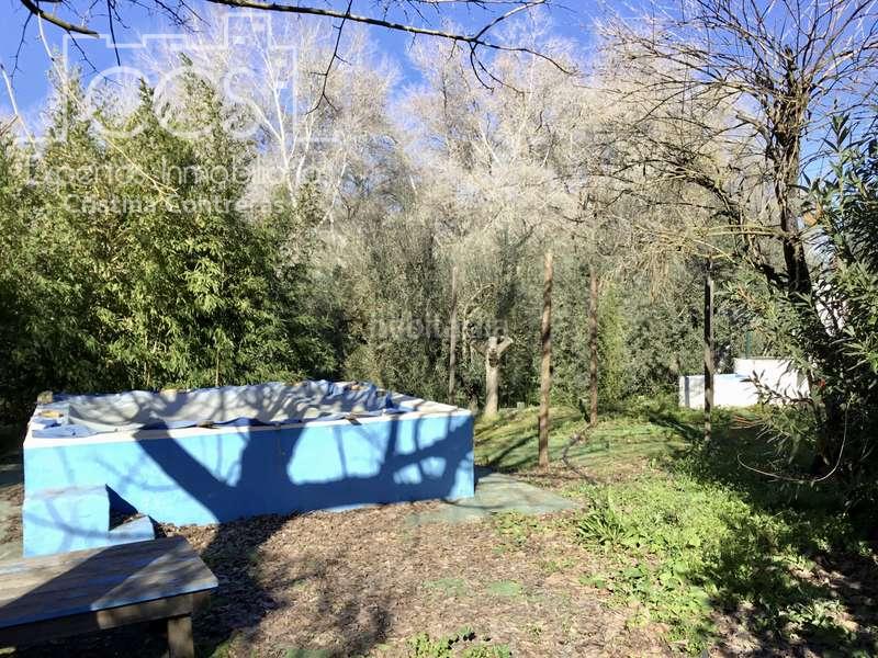 Foto aff2f6c4-b4bf-417f-aba8-e11405961791. Masía venta de finca de olivos de 14.256 m2 con construcción de 212 m2, alberca y arboledas varias . en Pilas