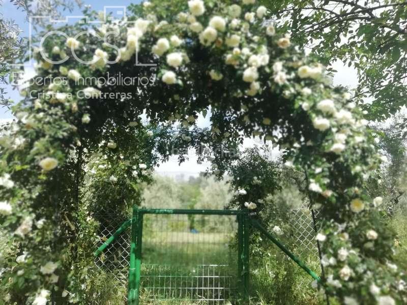 Foto d9245838-dac3-4bf8-bf9a-2b4cb9666653. Masía venta de finca de olivos de 14.256 m2 con construcción de 212 m2, alberca y arboledas varias . en Pilas