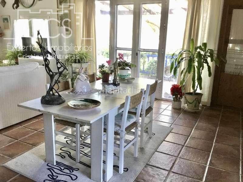 Foto dad88a59-2ff0-4585-b0ca-a252620ed8d7. Masía venta de finca de olivos de 14.256 m2 con construcción de 212 m2, alberca y arboledas varias . en Pilas