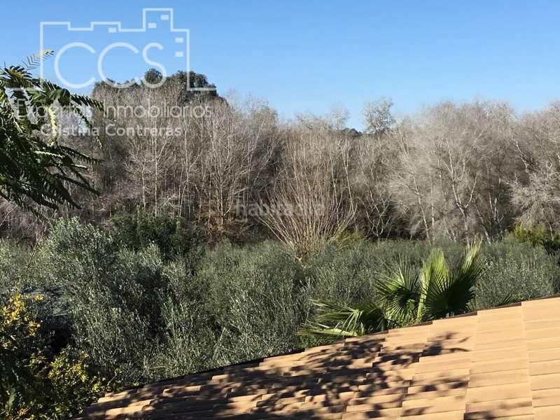 Foto ecaf8ad2-ccdb-4124-9ce1-ac6897eb73a8. Masía venta de finca de olivos de 14.256 m2 con construcción de 212 m2, alberca y arboledas varias . en Pilas
