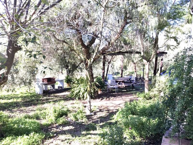 Foto fdad1cc3-234a-4e98-9db1-9d2cdce78db8. Masía venta de finca de olivos de 14.256 m2 con construcción de 212 m2, alberca y arboledas varias . en Pilas