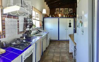 Masia a Pilas. Venta de finca de olivos de 14.256 m2 con construcción de 212 m2