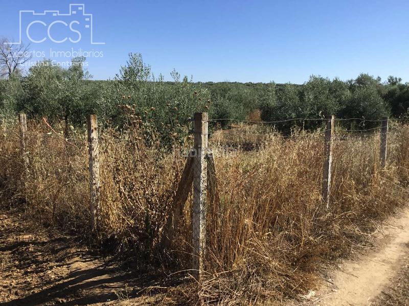 Foto 35257671-9976-45e5-a091-7b846d601cd3. Propriété dans Almonte Almonte