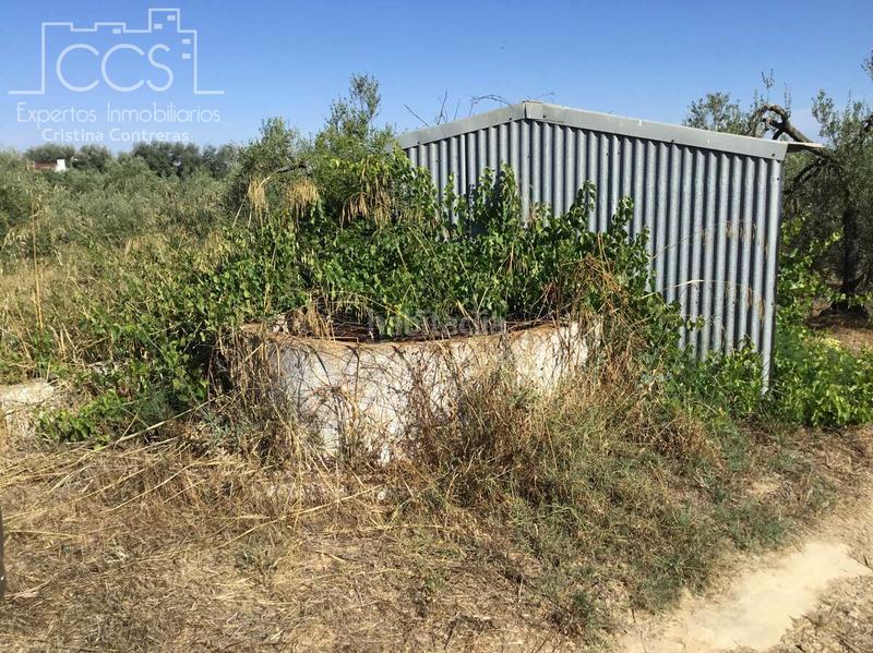 Foto 499567d2-e141-4156-9dfb-3dab51b691a7. Propriété dans Almonte Almonte