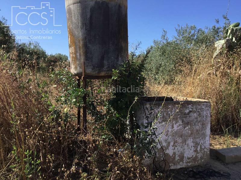 Foto ee7cc911-0939-4141-b001-25b77a0f799f. Propriété dans Almonte Almonte