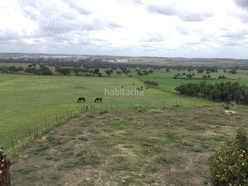 Foto 057d2028-d6de-418f-8376-67870e7bd05e. Masía venta de finca de 4.236 m2 de terreno con 4 construcciones en total de 950,75 m2 en sevilla en Huévar