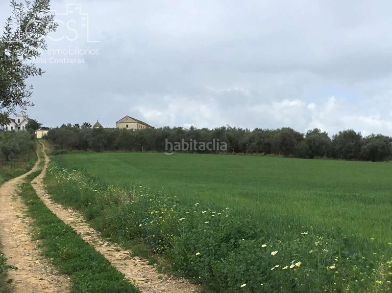 Foto 0ba07f17-b577-4e2c-bb1b-5981375e88b0. Masía venta de finca de 4.236 m2 de terreno con 4 construcciones en total de 950,75 m2 en sevilla en Huévar