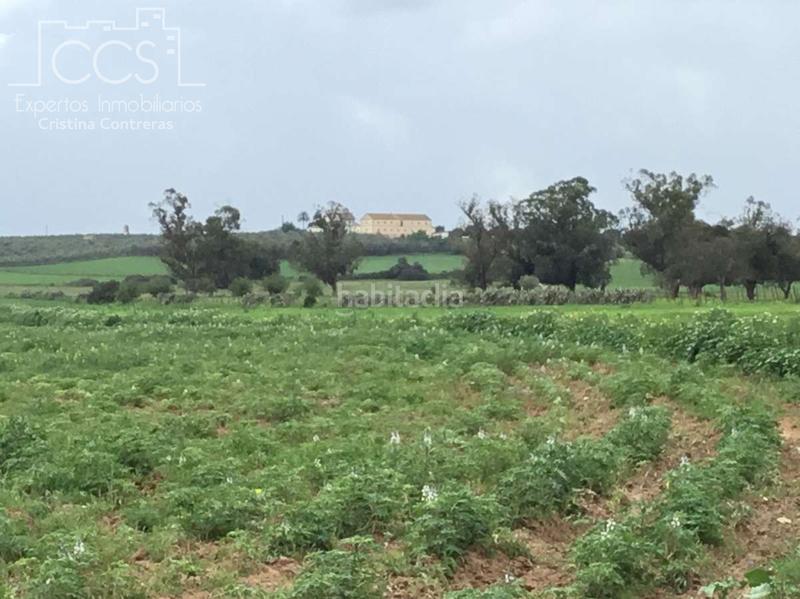 Foto 565e3c8d-5c33-4a5d-8275-6492e88cda68. Masía venta de finca de 4.236 m2 de terreno con 4 construcciones en total de 950,75 m2 en sevilla en Huévar