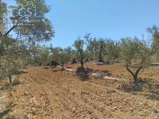 Landgut in Almonte. Venta de finca en propiedad de 14.490 m2 de terreno en almonte h