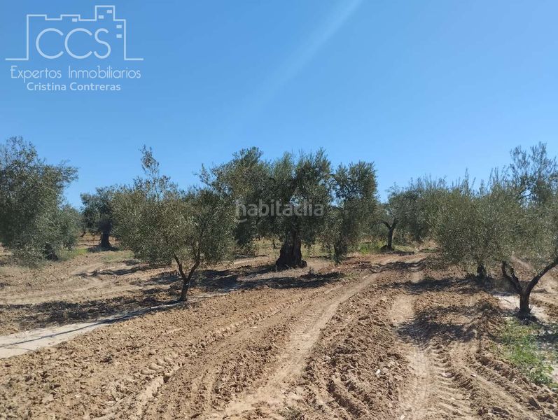 Foto 0873f8b1-2eb8-4e2d-b809-3274406db772. Finca rústica a Almonte Almonte