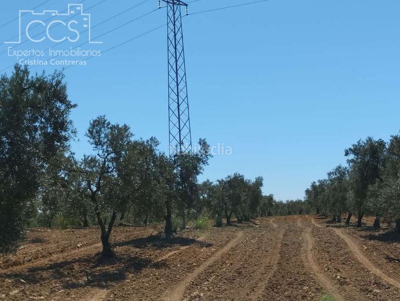 Foto b5d41f79-59e1-43fa-9b6f-42090f1bdbae. Finca rústica a Almonte Almonte